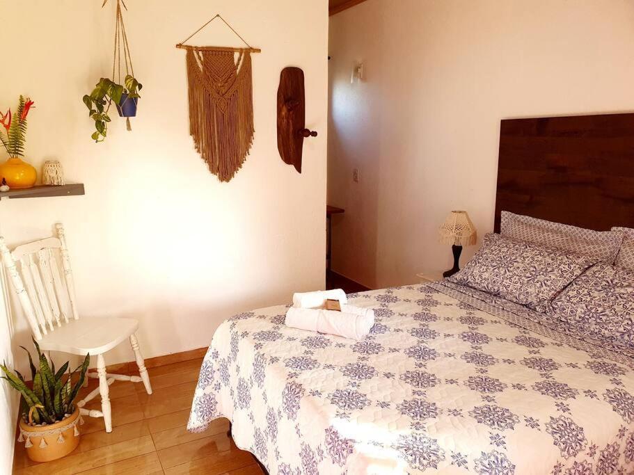 Alojamento de Acomodação e Pequeno-almoço Sítio Juara Santa Teresa (Espirito Santo)