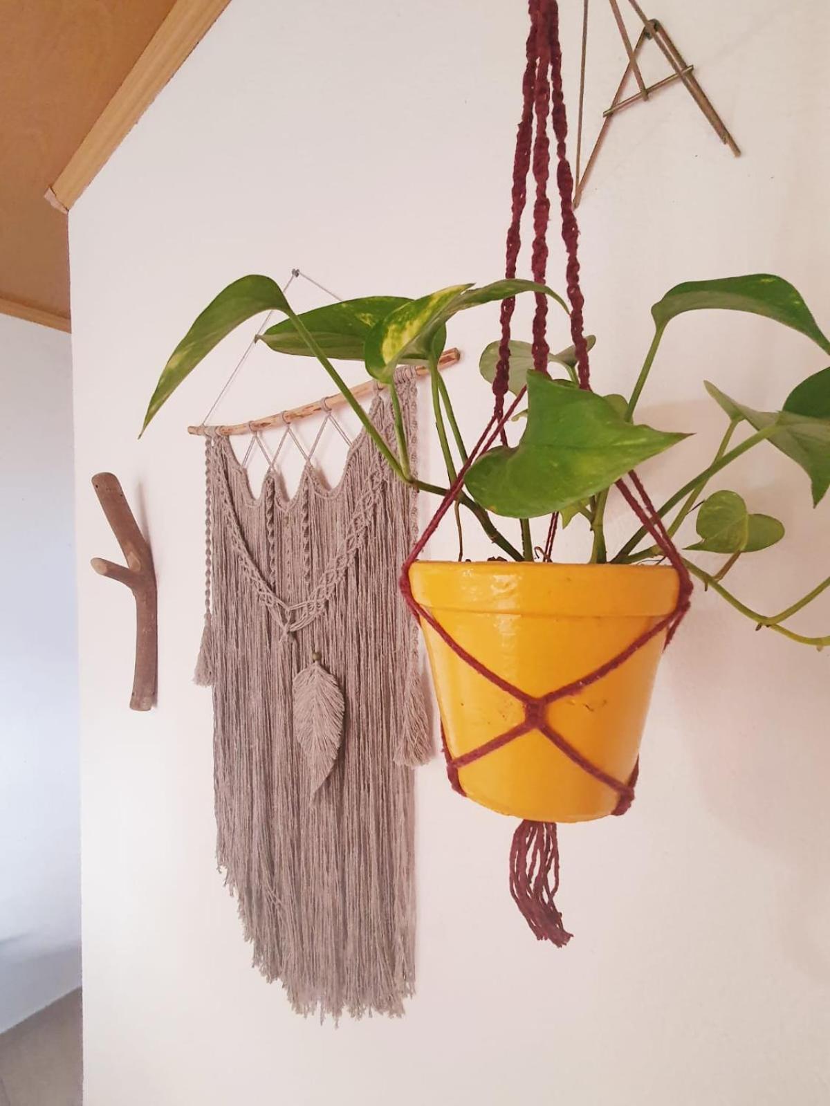 Sítio Juara Alojamento de Acomodação e Pequeno-almoço Santa Teresa (Espirito Santo)